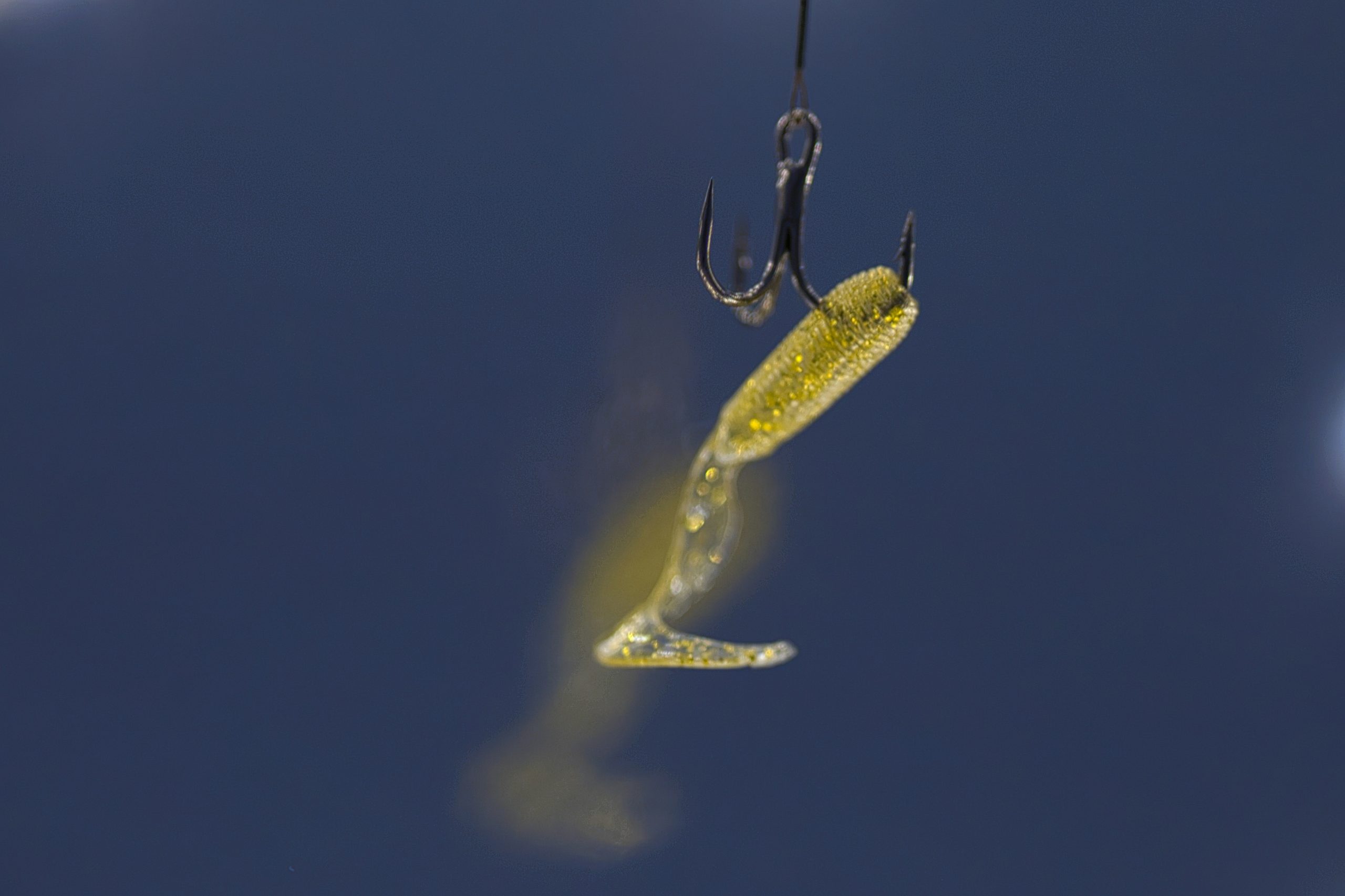 a fishing hook and lure bobbing in water to attract a victim